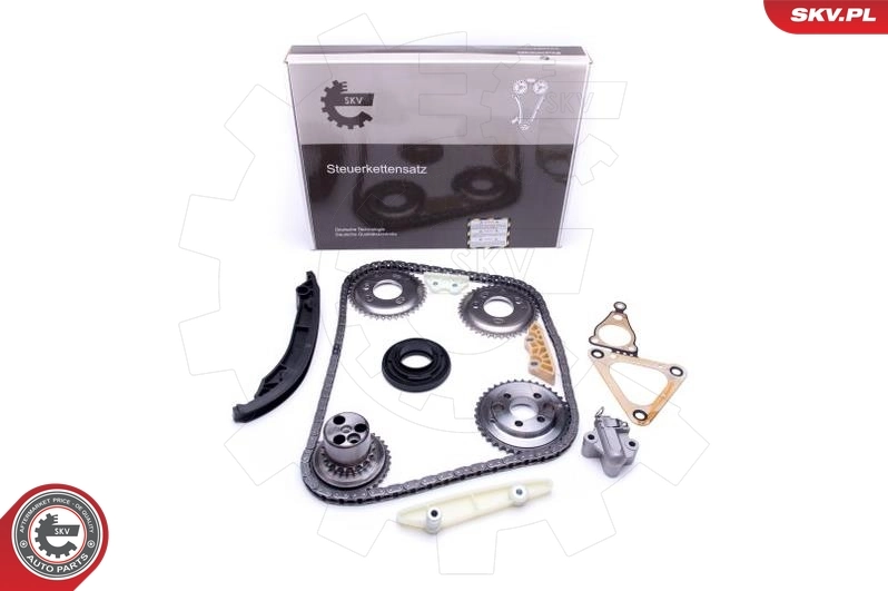 Timing Chain Kit